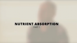 nutrient_aborption