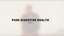 pure_digestive_health